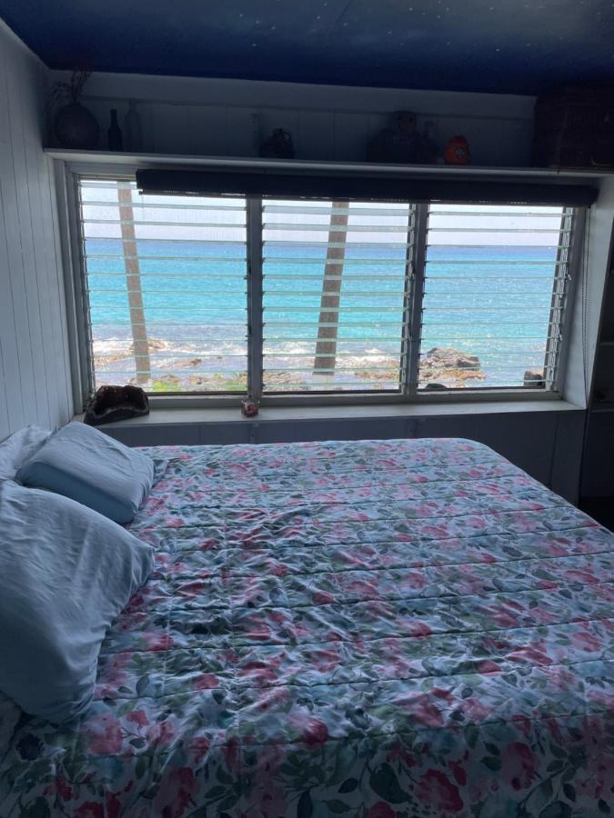 شقة كايلو كونا  في Moonlight Oceanfront Delight المظهر الخارجي الصورة